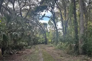 6661 E Turner Camp Rd, Inverness, FL 34453 - Photo 3