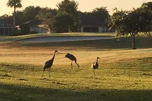 8806 SE 132nd Loop, Summerfield, FL 34491 - Photo 79
