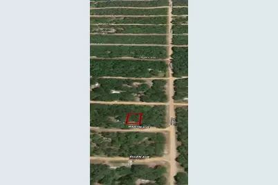 Lot 12 Martin Avenue, Interlachen, FL 32148 - Photo 3