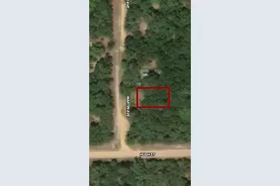 Lot 12 Martin Avenue, Interlachen, FL 32148 - Photo 1