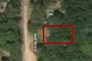 Lot 12 Martin Ave, Interlachen, FL 32148 - Photo 1