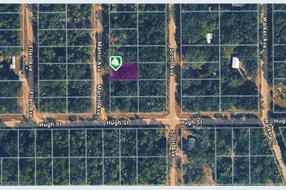 Lot 12 Martin Avenue, Interlachen, FL 32148 - Photo 1