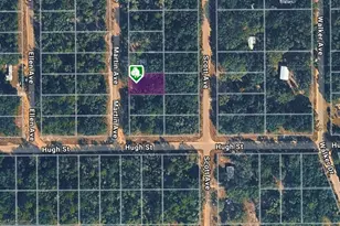 Lot 12 Martin Ave, Interlachen, FL 32148 - Photo 1