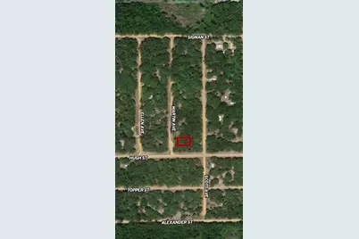 Lot 13 Martin Avenue, Interlachen, FL 32148 - Photo 1
