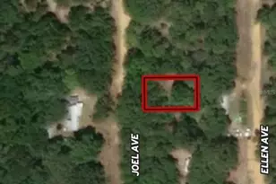 Lot 11 Joel Ave, Interlachen, FL 32148 - Photo 1