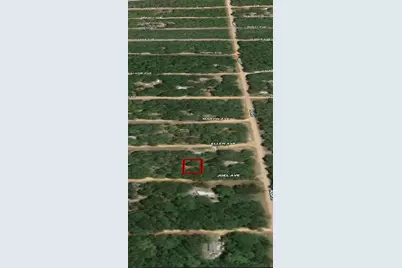 Lot 11 Joel Avenue, Interlachen, FL 32148 - Photo 3