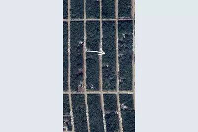 Lot 7 Neilsen Avenue, Interlachen, FL 32148 - Photo 3