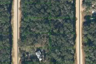 Lot 7 Neilsen Ave, Interlachen, FL 32148 - Photo 1