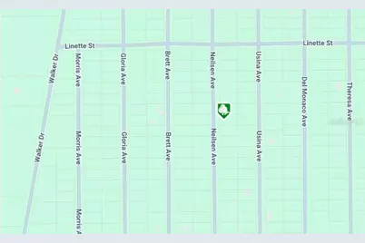 Lot 7 Neilsen Avenue, Interlachen, FL 32148 - Photo 3