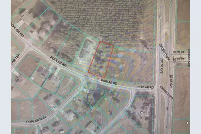 0 Poplar Road, Ocala, FL 34480 - Photo 3