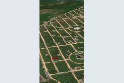 Lot 19 Selma Avenue, Interlachen, FL 32148 - Photo 3