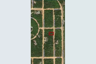 Lot 19 Selma Avenue, Interlachen, FL 32148 - Photo 1