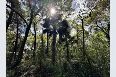Tbd SW 5th Lane, Ocala, FL 34481 - Photo 3