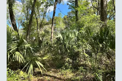 Tbd SW 5th Lane, Ocala, FL 34481 - Photo 7