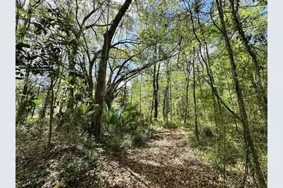 Tbd SW 5th Lane, Ocala, FL 34481 - Photo 9