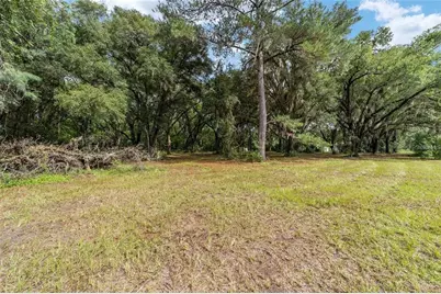 Tbd SE 122nd Place, Ocklawaha, FL 32179 - Photo 13