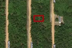 Lot 4 Usina Ave, Interlachen, FL 32148 - Photo 1