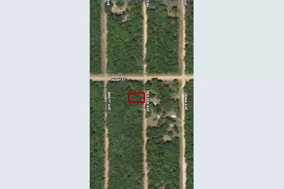 Lot 35 Neilsen Avenue, Interlachen, FL 32148 - Photo 1