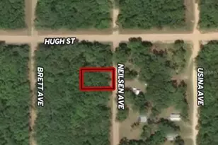 Lot 35 Neilsen Ave, Interlachen, FL 32148 - Photo 1