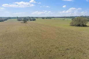 19355 SW 25th Pl, Dunnellon, FL 34431 - Photo 37