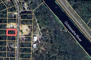 0 Sequoia Dr, Ocklawaha, FL 32179 - Photo 1