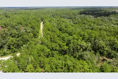 1412 E Carson Road, Citrus Springs, FL 34434 - Photo 9