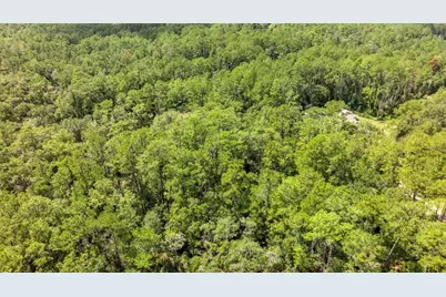 1412 E Carson Road, Citrus Springs, FL 34434 - Photo 5