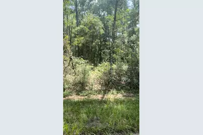 1412 E Carson Road, Citrus Springs, FL 34434 - Photo 3