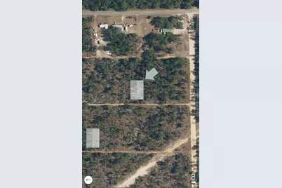 Xx Pine Way, Interlachen, FL 32148 - Photo 3