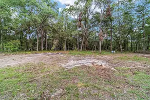 18075 SW 60th St, Dunnellon, FL 34432 - Photo 59
