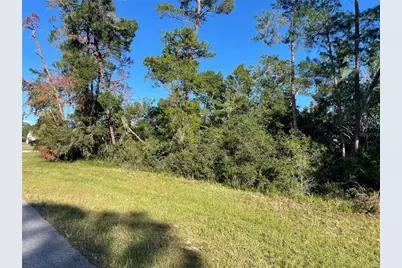 Marion Oaks Lane, Ocala, FL 34476 - Photo 1