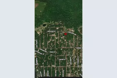 Lot 34 Lenore Avenue, Interlachen, FL 32148 - Photo 5