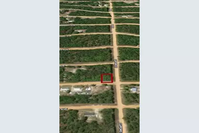 Lot 36 Louise Avenue, Interlachen, FL 32148 - Photo 3