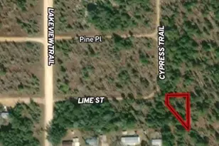 Lot 30 Lime Trail, Interlachen, FL 32148 - Photo 1