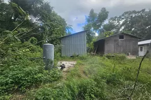 19091 SE 95th St, Ocklawaha, FL 32179 - Photo 39