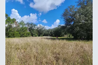 217 Lakeview Drive, Melrose, FL 32666 - Photo 3