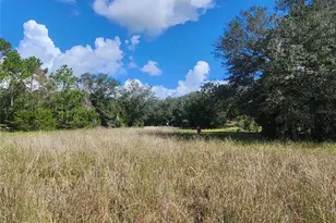 217 Lakeview Dr, Melrose, FL 32666 - Photo 3