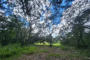 217 Lakeview Dr, Melrose, FL 32666 - Photo 5