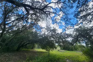 217 Lakeview Dr, Melrose, FL 32666 - Photo 7