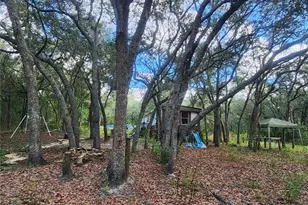 217 Lakeview Dr, Melrose, FL 32666 - Photo 5