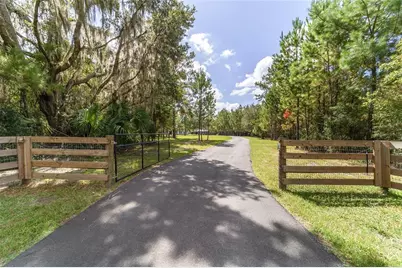 15600 NW 185th Street, Williston, FL 32696 - Photo 13