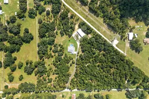 15600 NW 185th St, Williston, FL 32696 - Photo 99