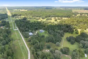 15600 NW 185th St, Williston, FL 32696 - Photo 97