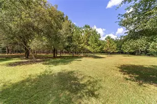 15600 NW 185th St, Williston, FL 32696 - Photo 91