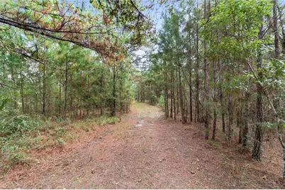 15600 NW 185th Street, Williston, FL 32696 - Photo 95