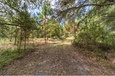 15600 NW 185th Street, Williston, FL 32696 - Photo 93