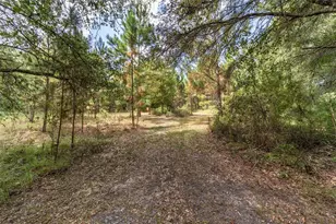 15600 NW 185th St, Williston, FL 32696 - Photo 93