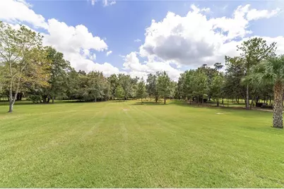 15600 NW 185th Street, Williston, FL 32696 - Photo 83