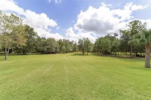 15600 NW 185th St, Williston, FL 32696 - Photo 83