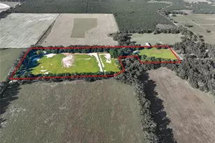 2551 NE 107 Pl, Chiefland, FL 32626 - Photo 5